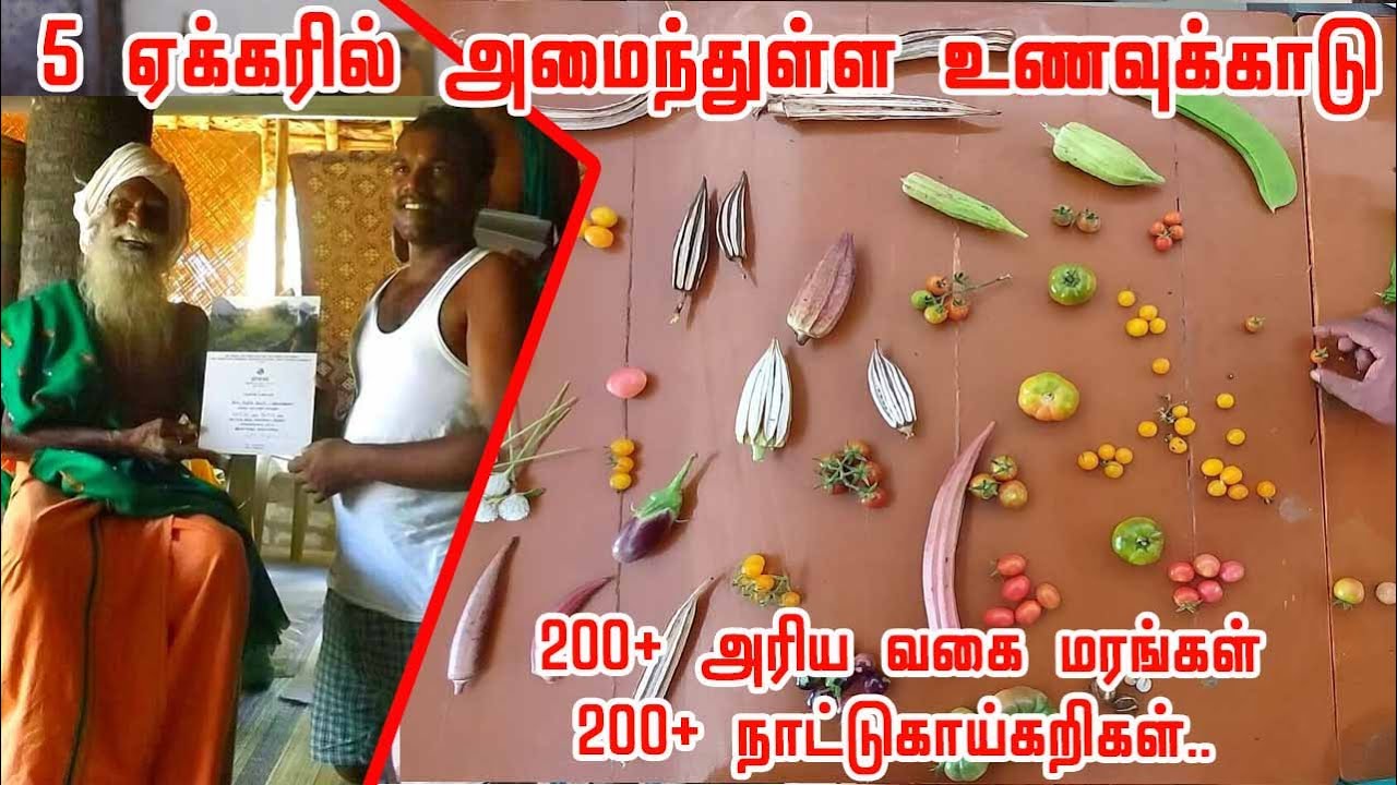 நம்மாழ்வாரின் கனவை நினைவாக்கிய வெற்றிமாறன் | இதுபோல் ஊர் தோறும் வேளாண் மாதிரி பண்ணை அமைய வேண்டும்