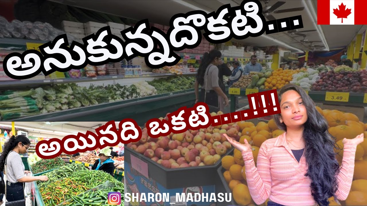 Indian Grocery Store in Canada |Grocery shopping|#canadateluguvlogs #diml #dimlvlogtelugu #students