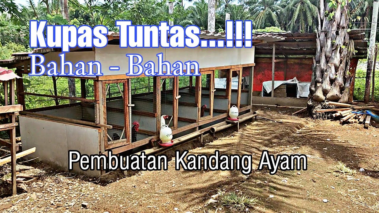Kandang ayam KUB Ukuran 4m x 1,5m  @NAGA_Zhian