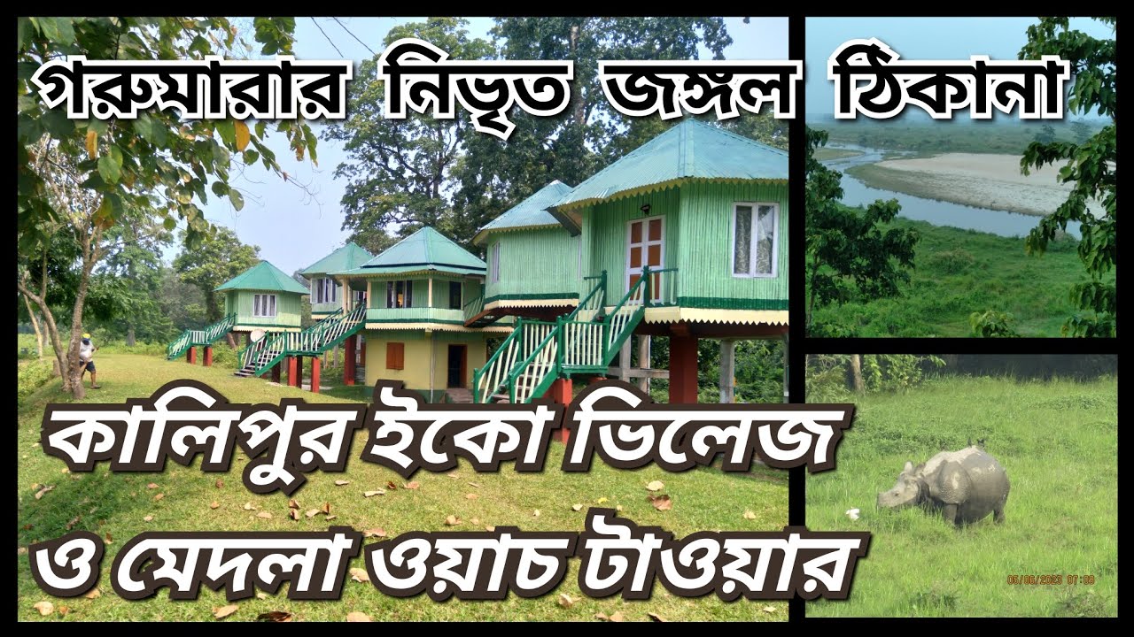 Kalipur Eco Village (wbfdc) & Medla Watchtower, Gorumara National Park, Dooars. All details.