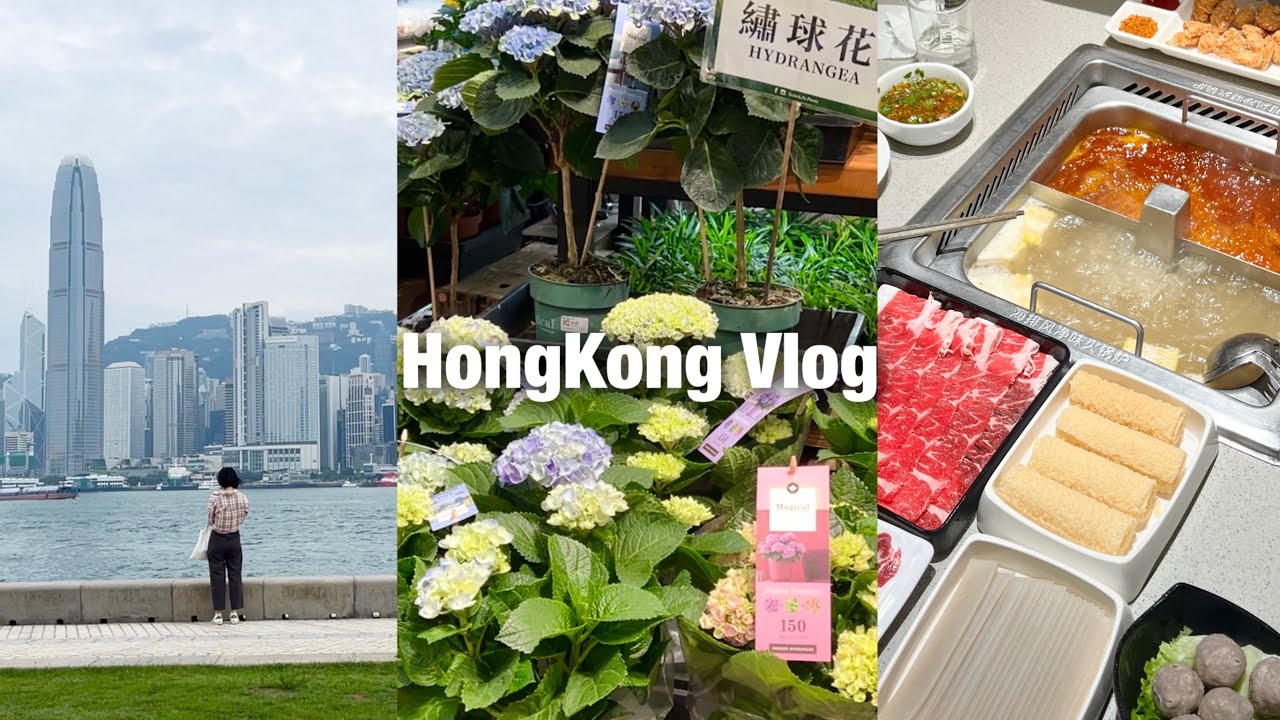 홍콩Vlog | 맛집동네 구룡성 단골집 ✌🏻곳, 서구룡 공원 롤렉스 전시회, 몽콕 꽃시장, 하이디라오 핫데뷔🔥 카오야 피자, 집밥일상, 홍콩사는 한국인