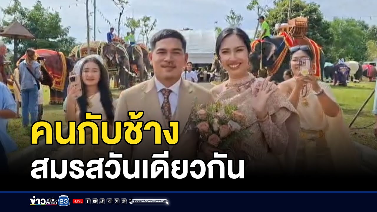 คนกับช้าง สมรสวันเดียวกัน l ตลาดข่าว - ข่าวเช้าเวิร์คพอยท์ l 23 ต.ค.68