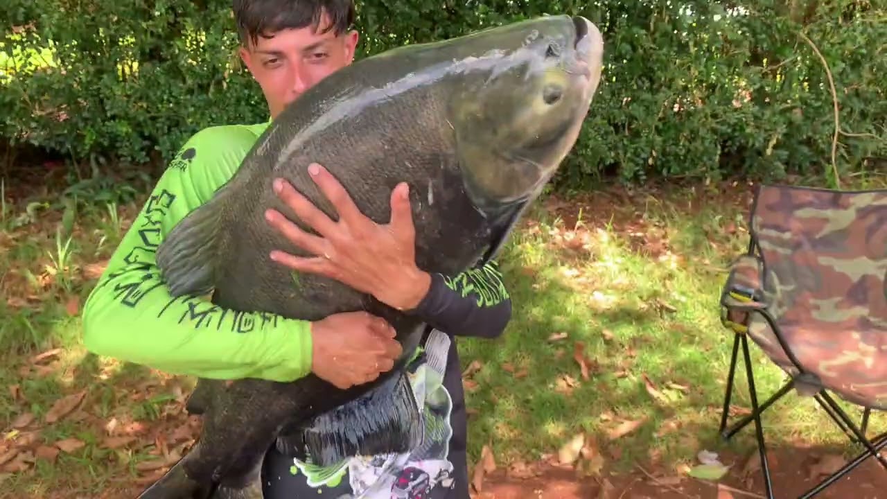 Pesqueiro pózza top rapaziada vários peixe média muito top 28/26/22 #pescaesportiva #pesqueiropózza