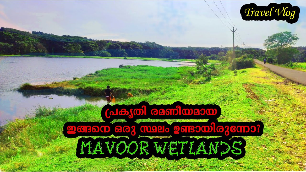Mavoor Wetlands | Tourist Attraction | Tourism in Kozhikkode