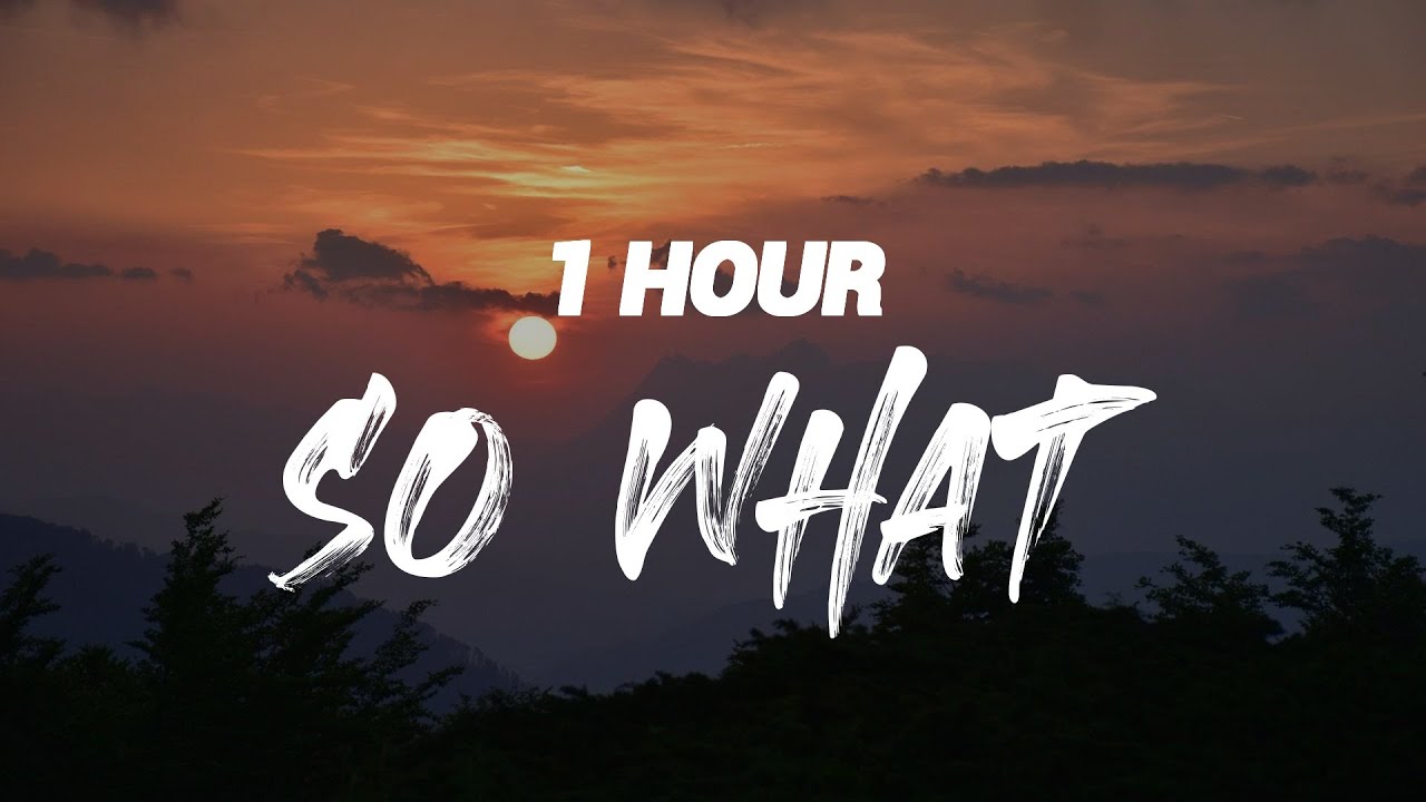 P!NK - So What [ 1 HOUR ]