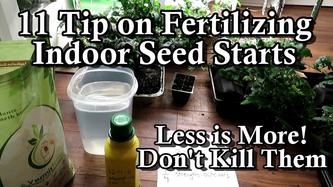 11 Tips on Fertilizing Indoor Garden Seed Starts: When to Feed, What to Use, & Don't Over Fertilize!