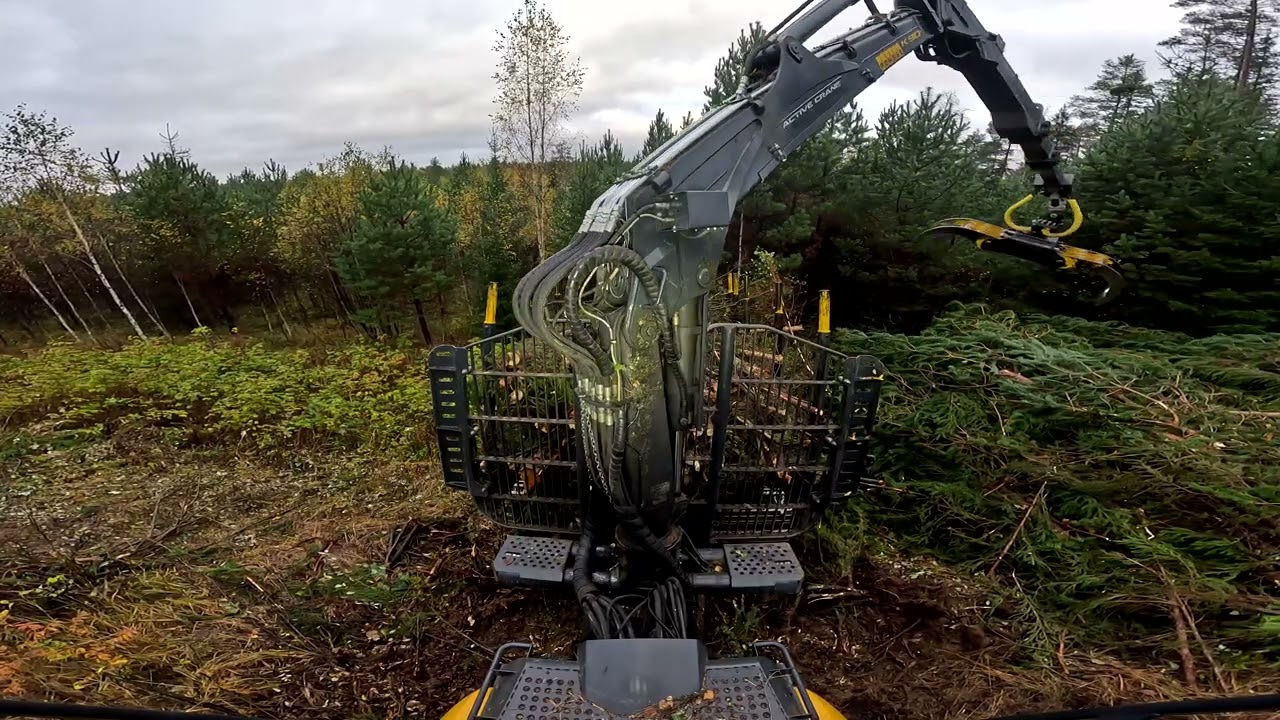 Ponsse Buffalo | Kokopuun ajoa