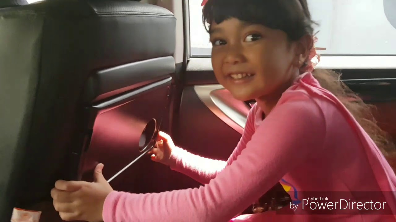 Kisah Hanum: Jadwal memandikan kucing Miss Cemplon imut lucu