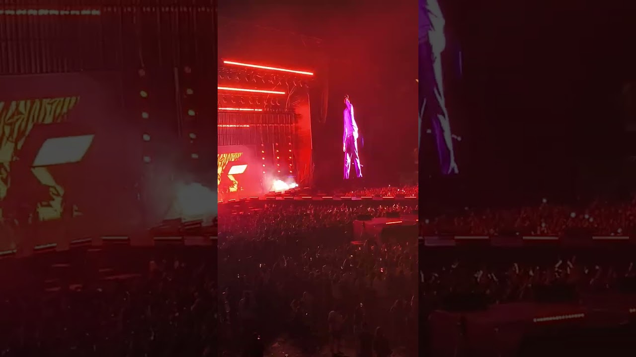 Modelito - Mora (chile) en vivo