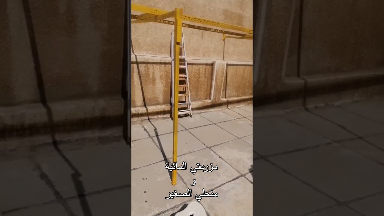 ظرورة تطبيق شروط النظام وأهمية توجيه المنحل والخلايا إلى الجنوب