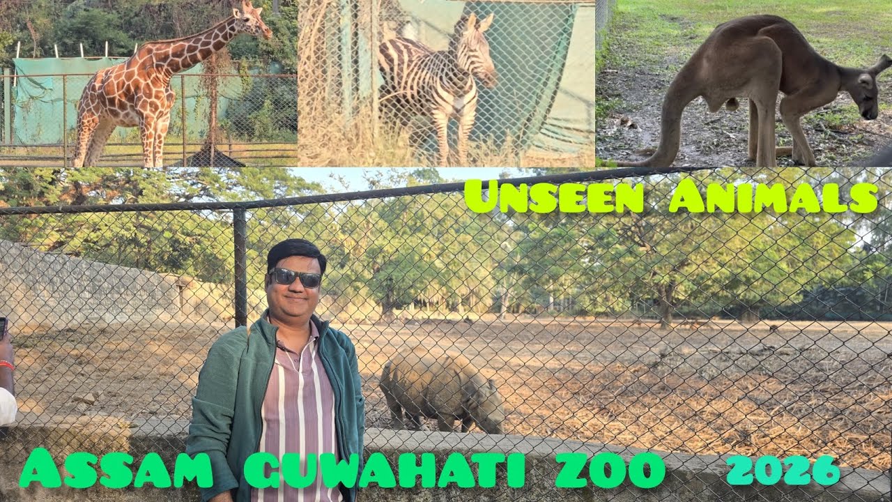 Assam State Zoo cum Botanical Garden 2026 I Guwahati Zoo | Largest Zoo in Northeast India 