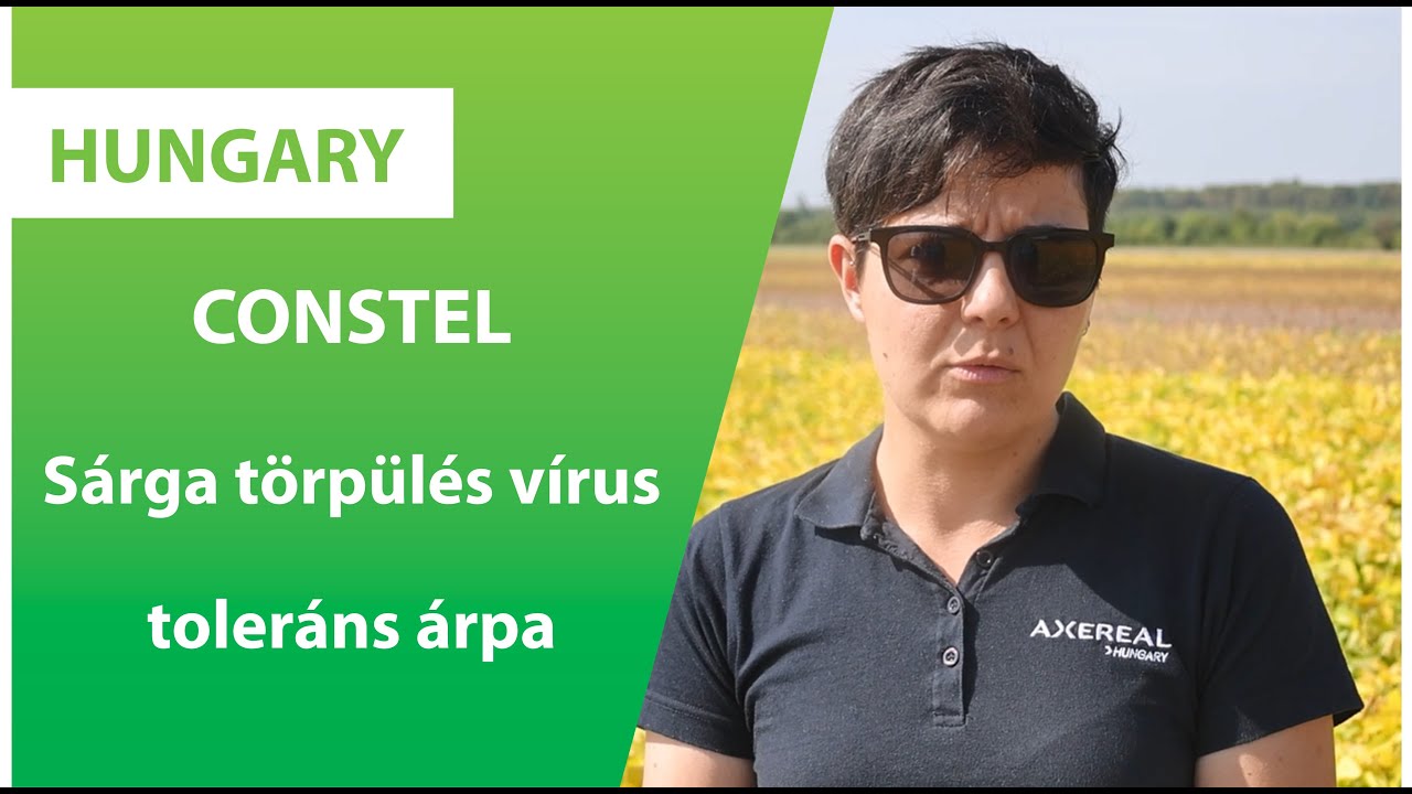 CONSTEL TAKARMÁNYÁRPA | Axereal Hungary