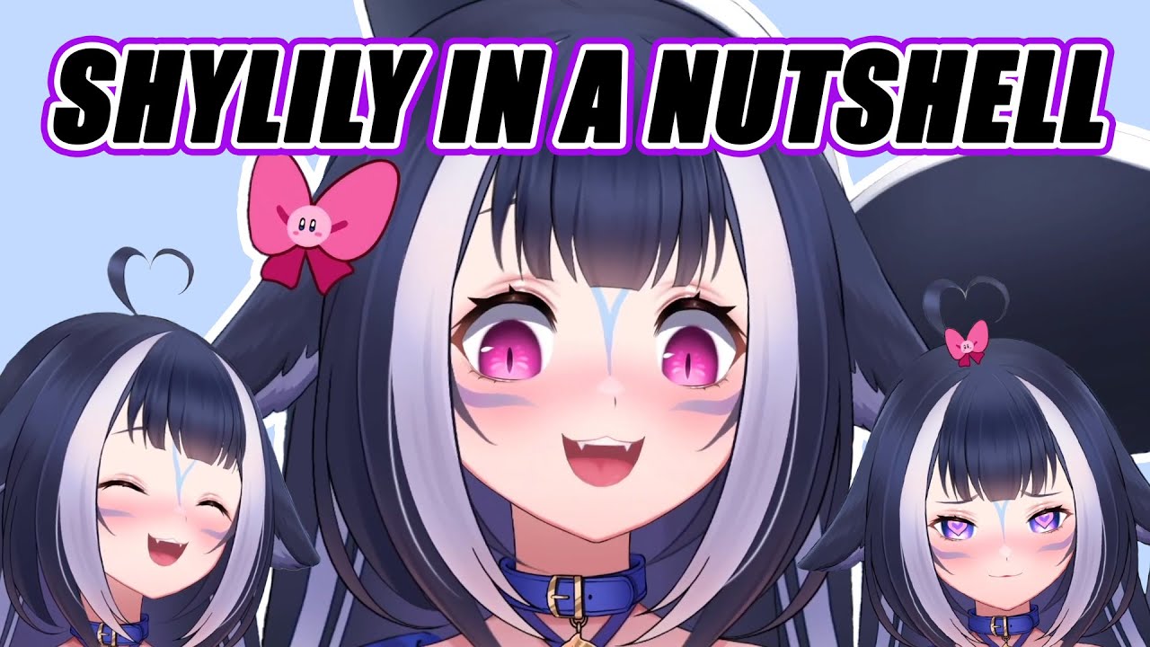 Shylily In A Nutshell