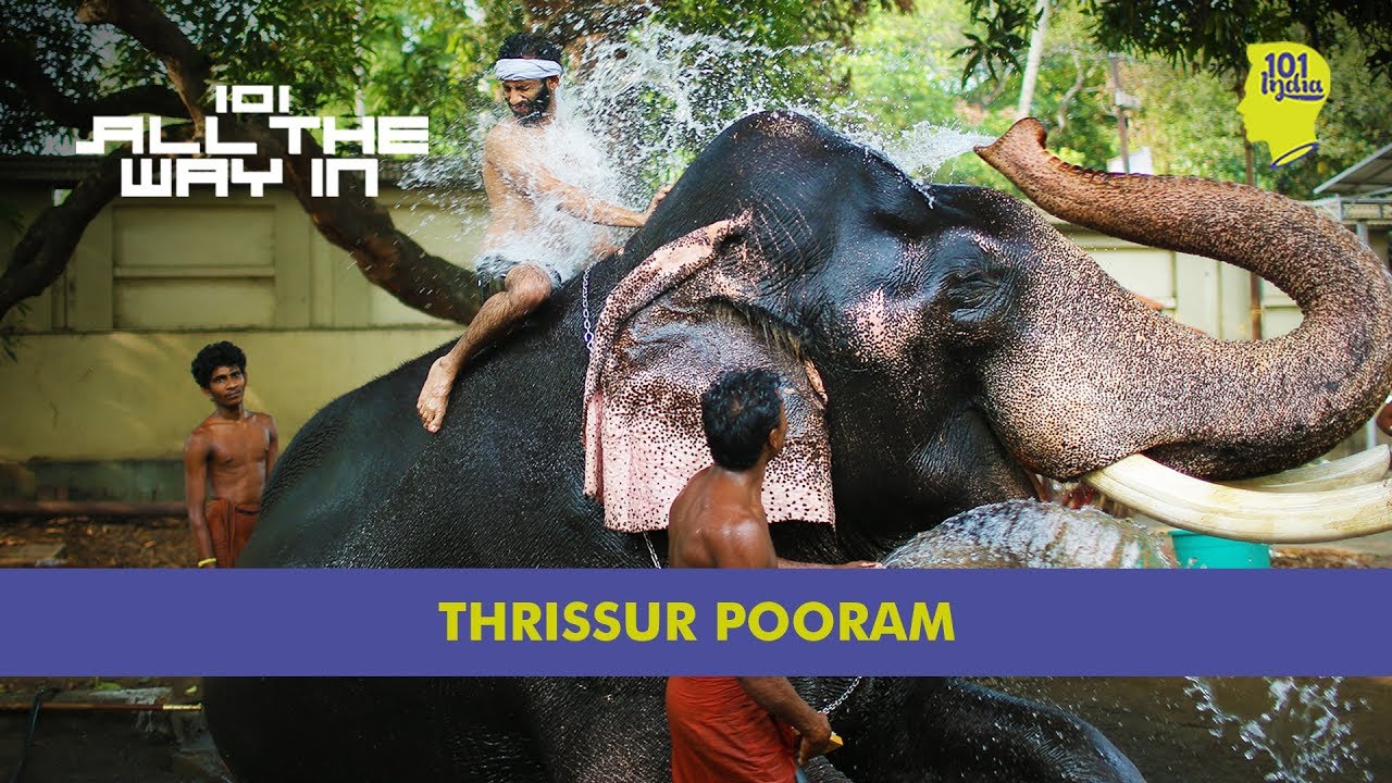 Thrissur Pooram: The Mother Of All Festivals | 101 All The Way In | Unique Stories From India