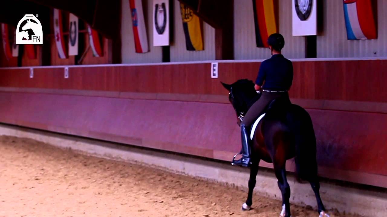Reitabzeichen 2