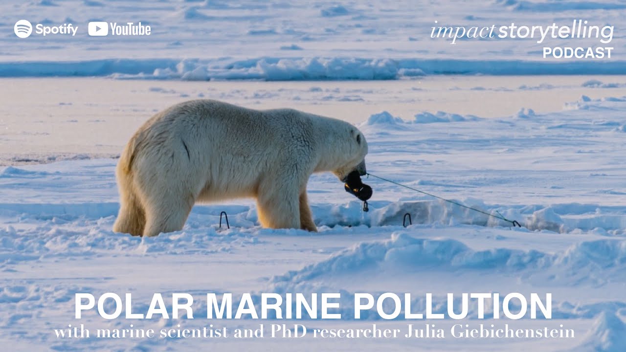Polar Marine Pollution