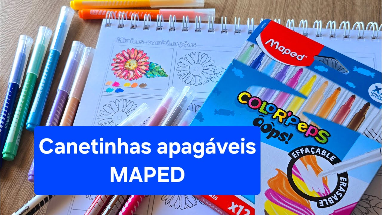 Canetinhas Apagáveis da MAPED