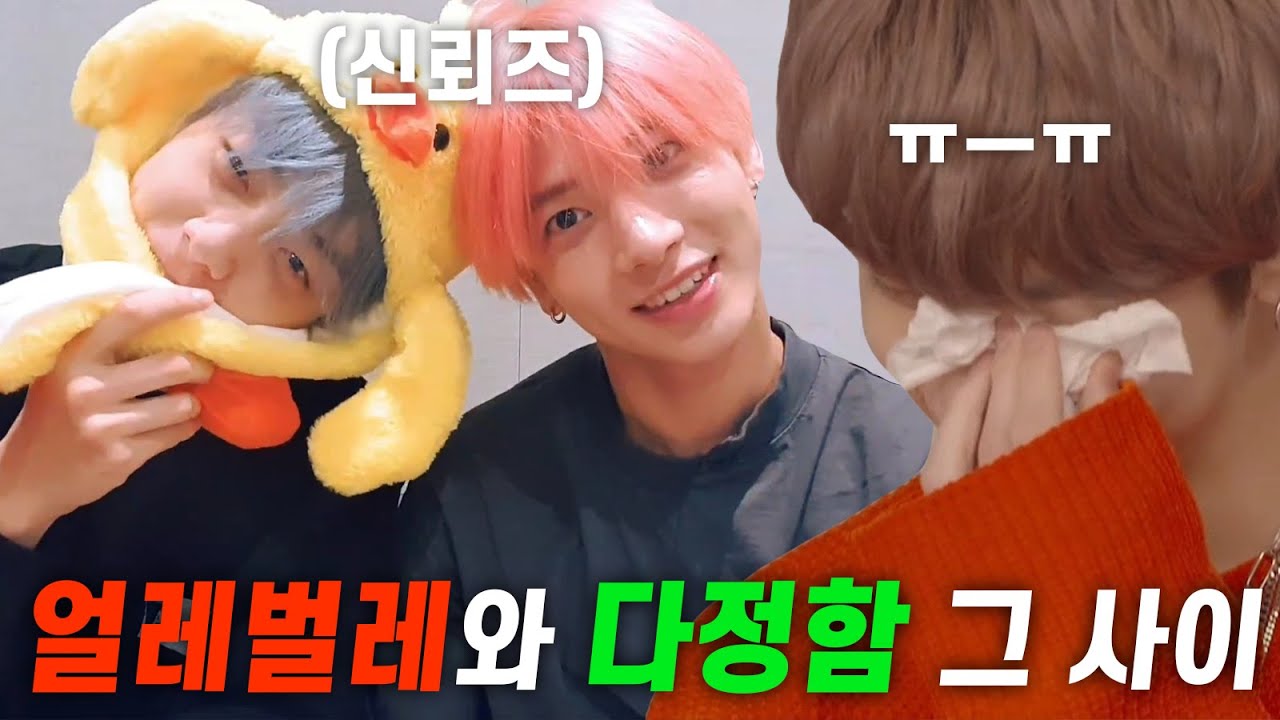 얼레벌레와 다정함 그 사이 어딘가 신뢰즈 케미 모음.zip