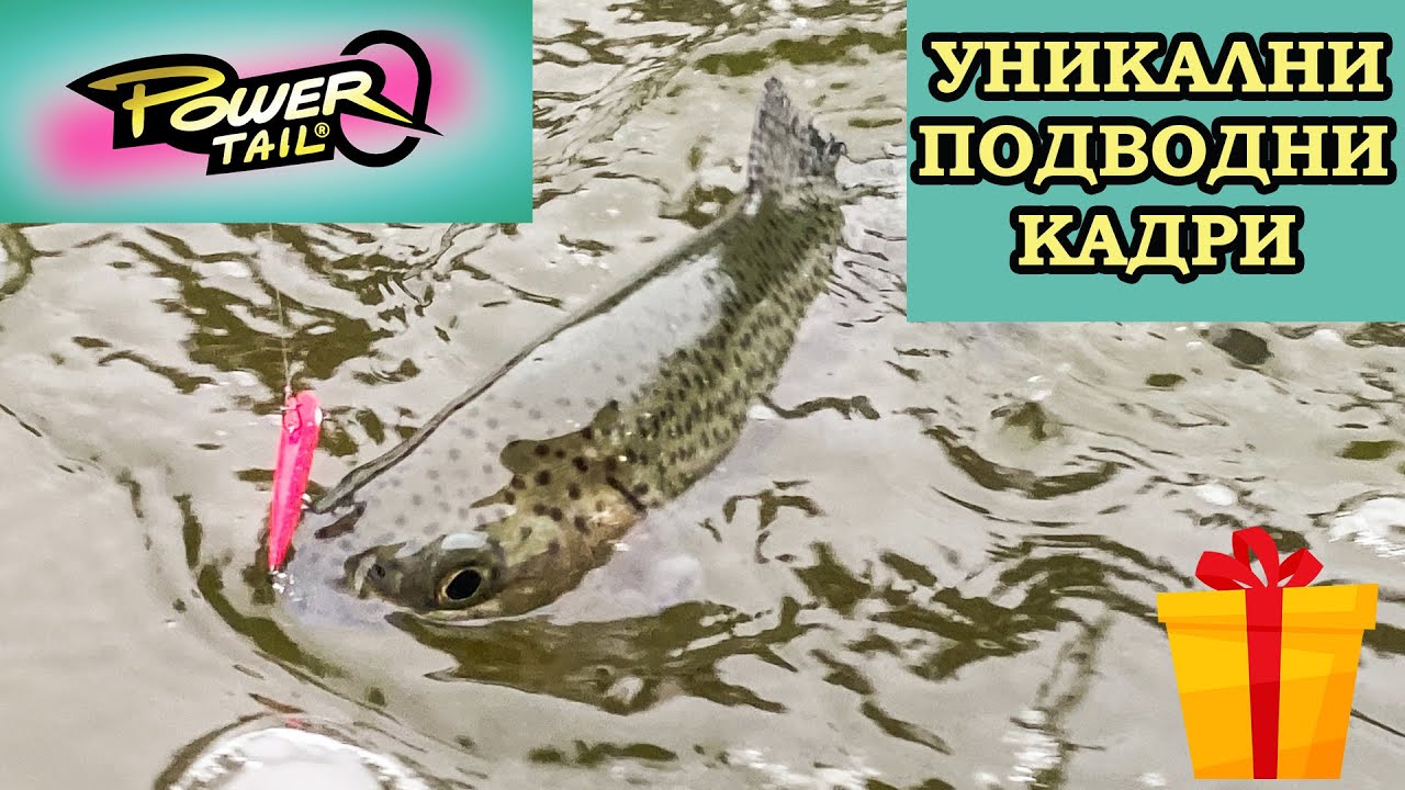 АТАКИ НА ЖИВО. ЛИМИТИРАНА ПРИМАМКА. Fiiish Power Tail XUL UNDERWATER action