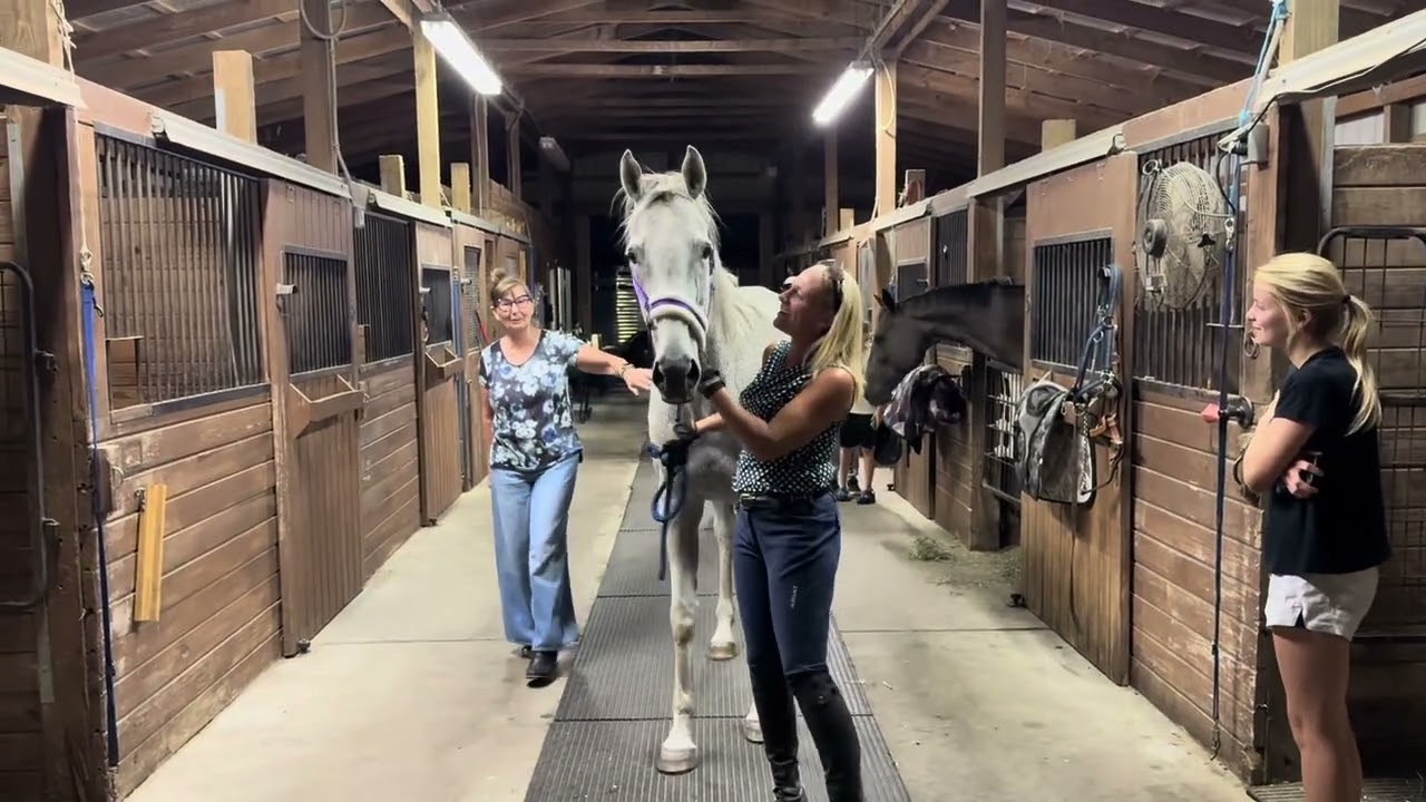R Betty Graybull arriving at Akula Stables August 9, 2025