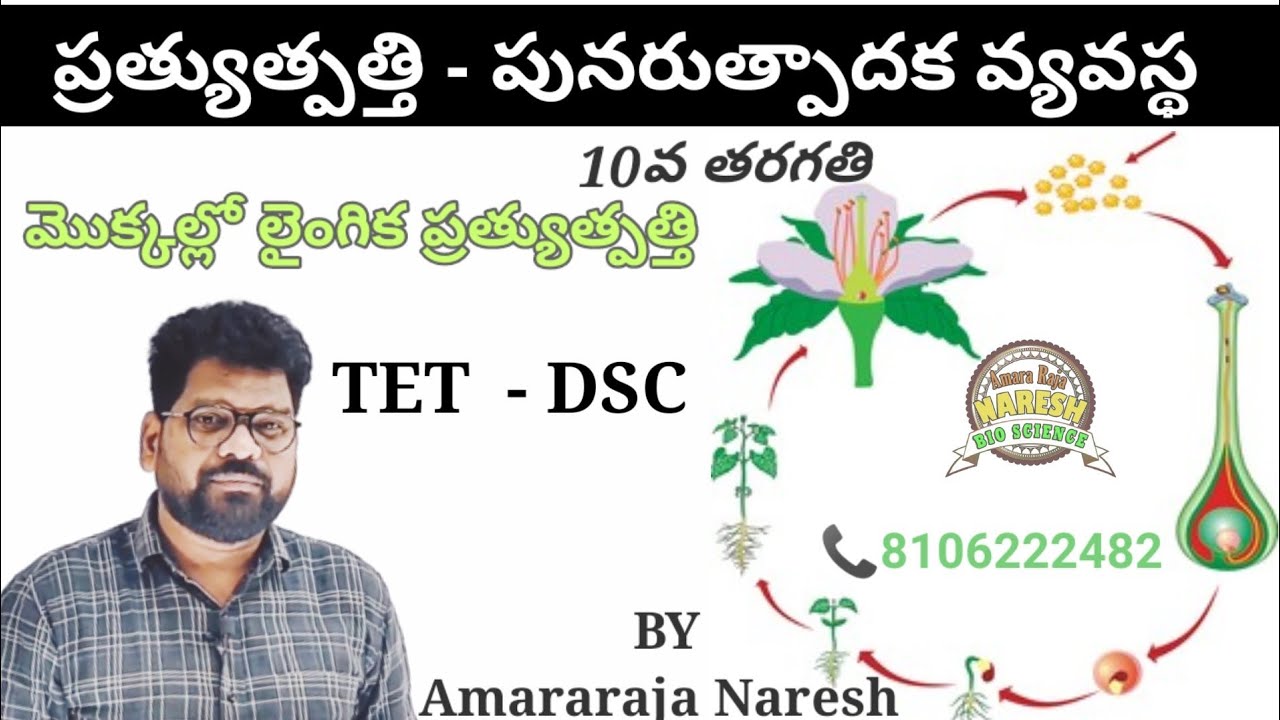 REPRODUCTION IN PLANTS||మొక్కలలో లైంగిక ప్రత్యుత్పత్తి||NARESH BIOSCIENCE