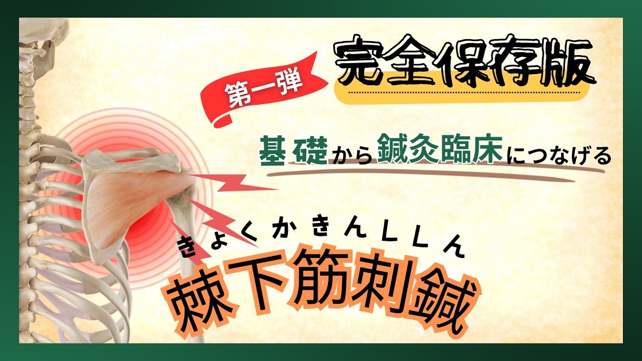 基礎から鍼灸臨床へ～棘下筋刺鍼～徹底解説（五十肩、投球肩障害など）