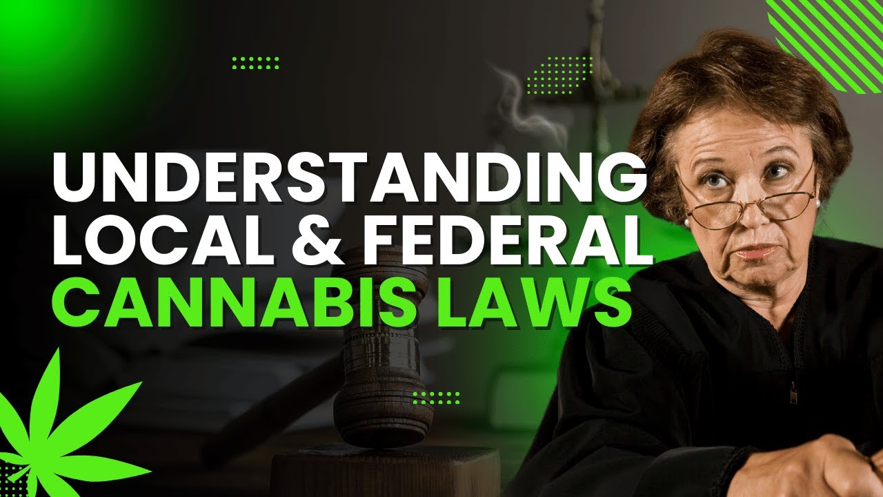 Understanding Local and Federal Cannabis Laws | Hemp Temps University | Cannabis Training