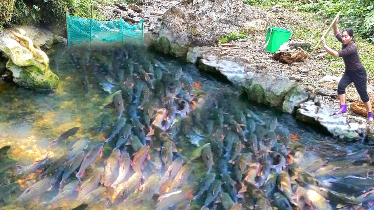 Умения девочки ловить рыбу и выпускать наживку для привлечения рыбы в сеть находятся на высшем