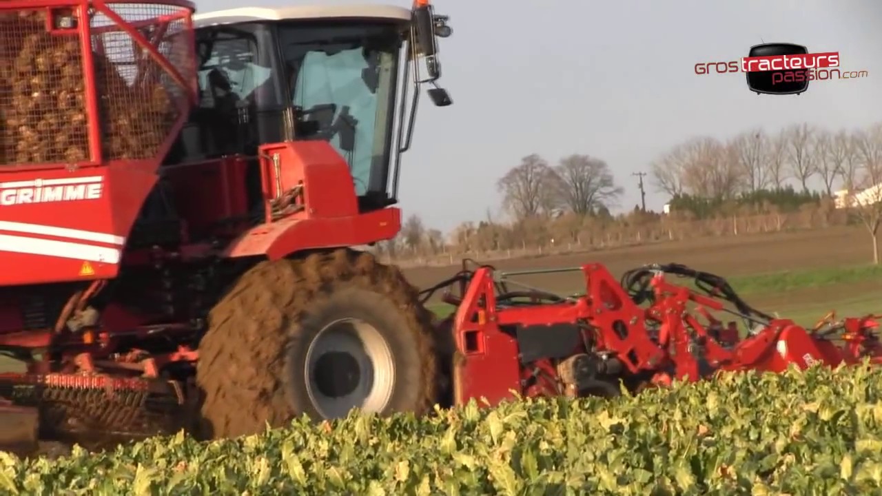 GRIMME Rexor 630 - Arracheuse à betteraves