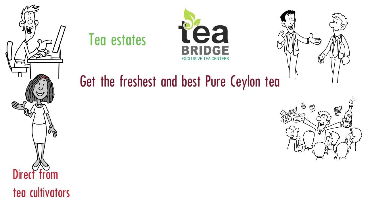 NO ONE TEA EXPORTER