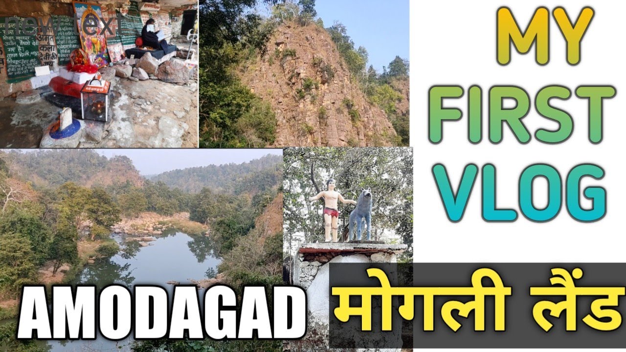My First Vlog Amodagad MogliLand 🔥#seoni #viralvideo #firstvlog #adventure #nature