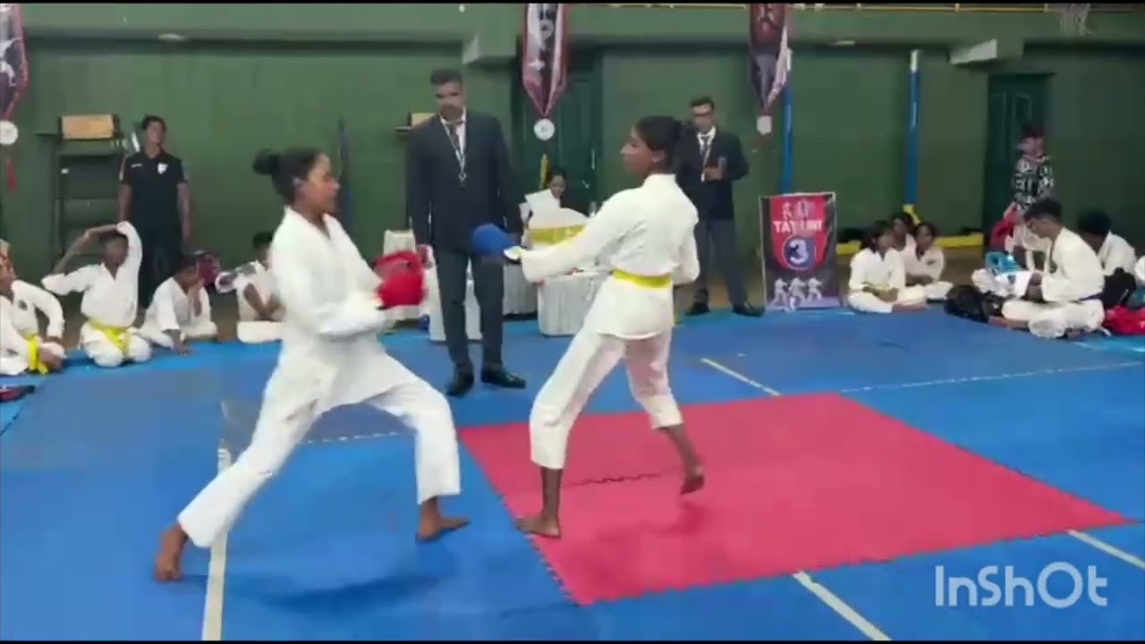 International Karate championship