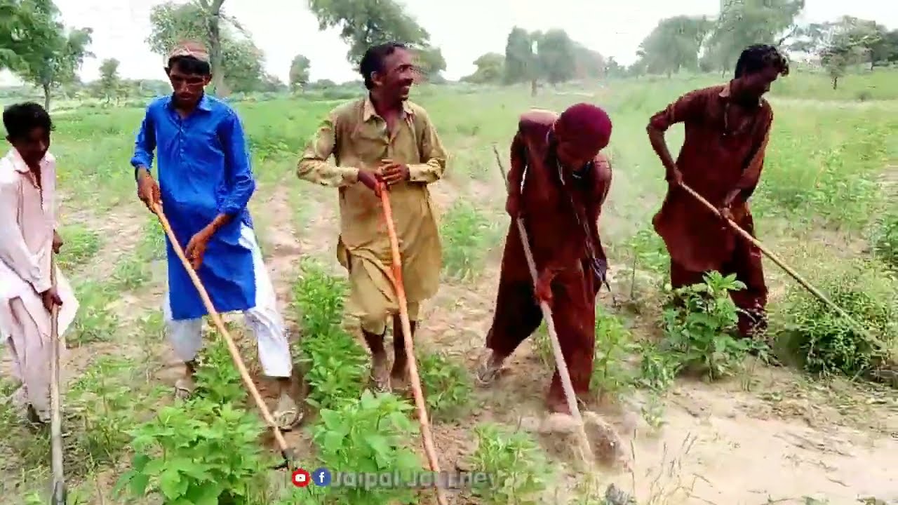 Hamarcho by local Thari. #foziasoomro #sindh #tharparkar #copyrightfree #pak #rajisthan #marwari