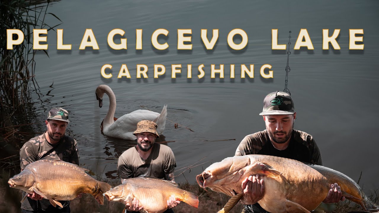 Риболов на Трофейни Шарани и Нови Рекорди на Езерото Пелагичево /Carp Fishing on Pelagicevo Lake