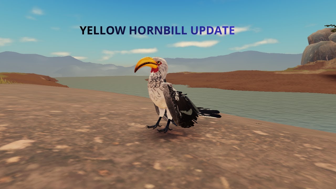 Roblox Savannah life Yellow hornbill update! (showcase)