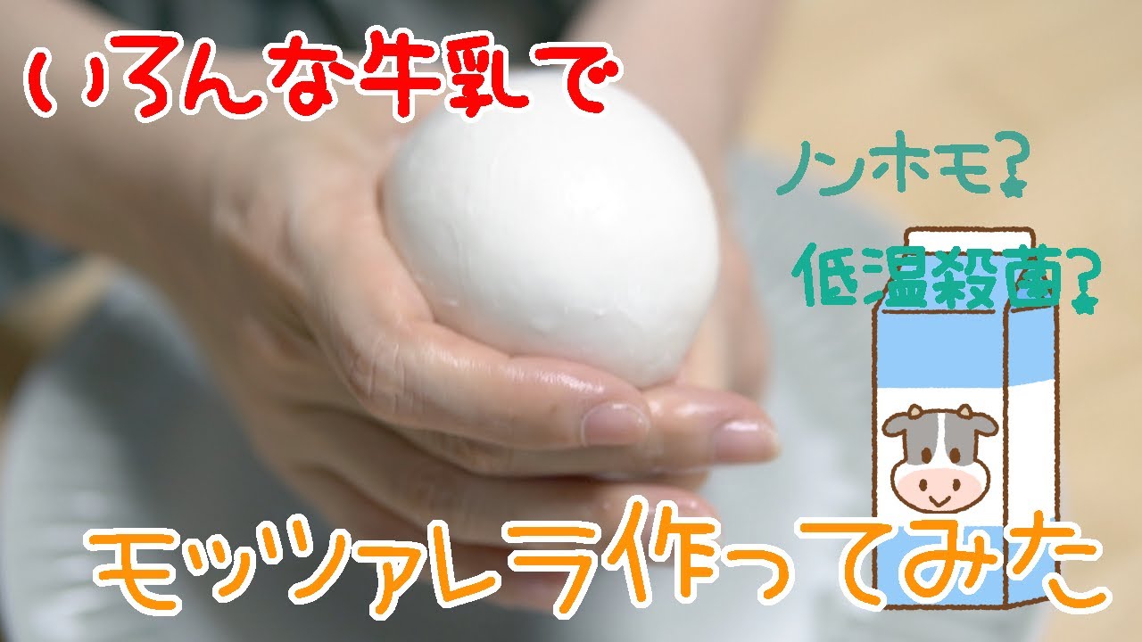 モッツァレラはノンホモ牛乳や低温殺菌牛乳なら作れるとは限らないようだ
