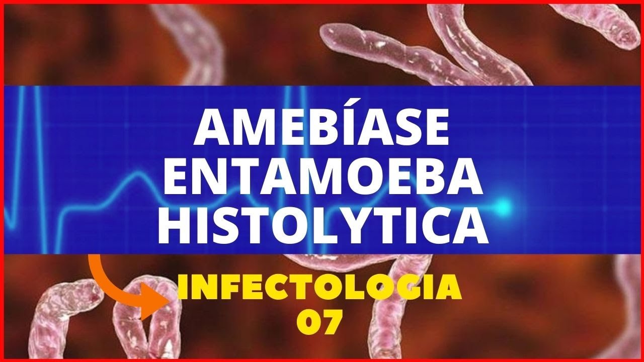 AMEBÍASE - ENTAMOEBA HISTOLYTICA - PARASITOLOGIA | INFECTOLOGIA
