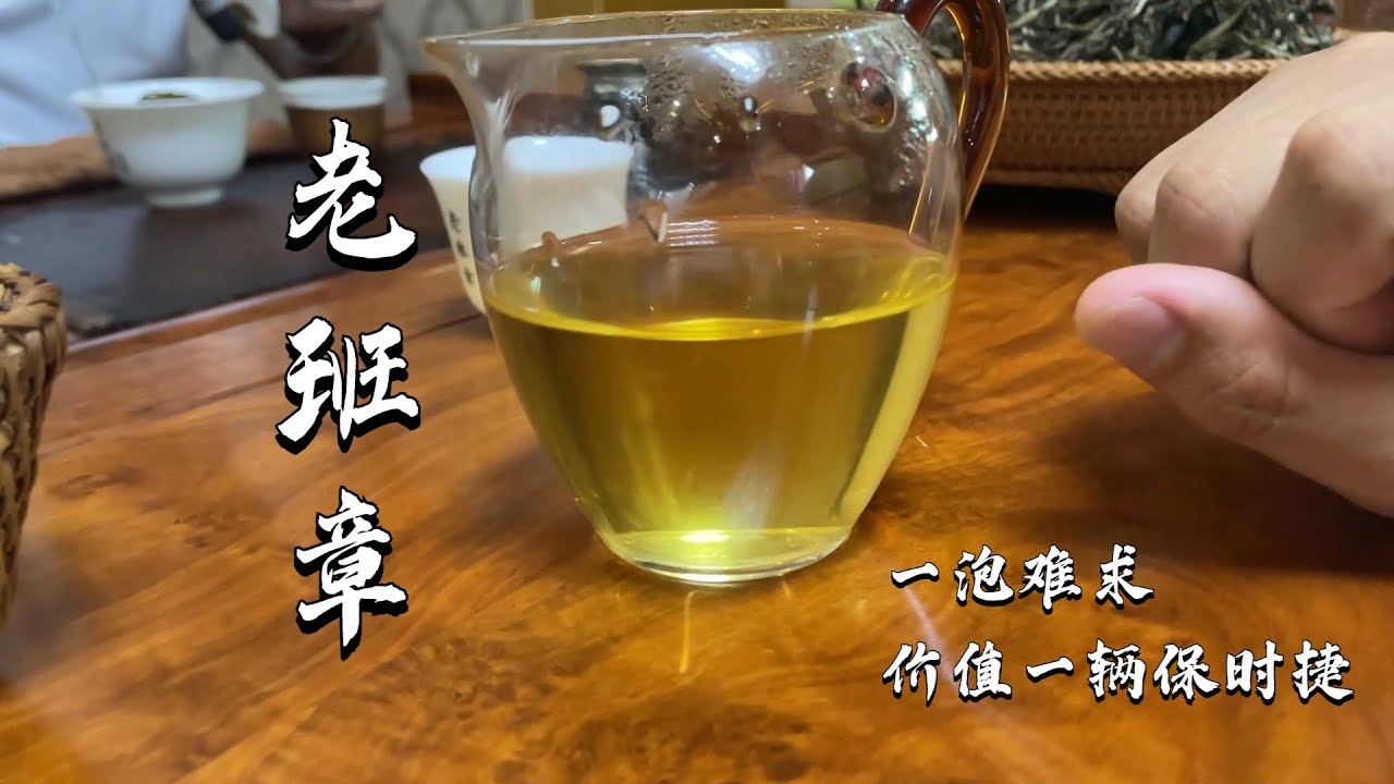 一斤花掉一个月工资！这就是老班章霸道，老高喝到单株还拿到2019年的10kg头春！#普洱茶 #茶文化 #普洱茶要怎么泡 #古树茶 #老班章