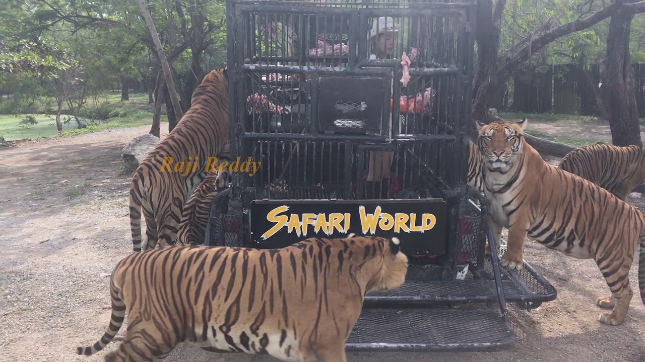 Safari World and Marine park  Full day tour  Bangkok 2018 || Thailand Tour