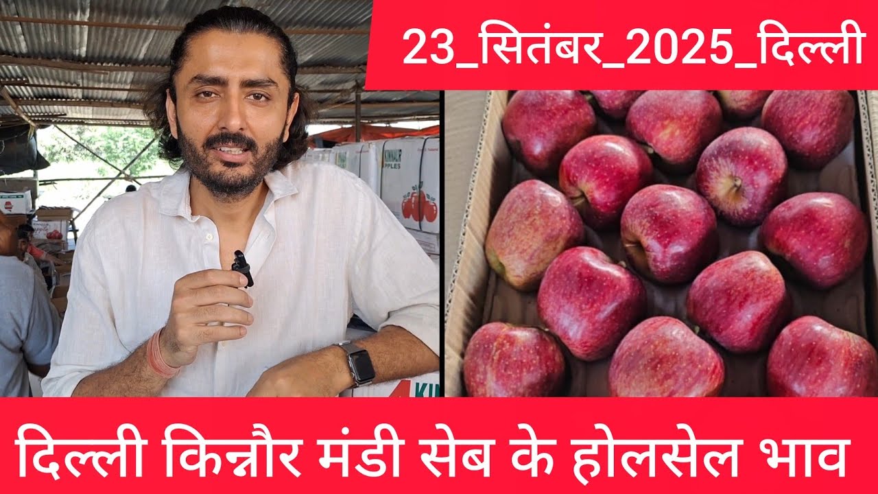 September 23, 2025 दिल्ली 🍎 सेब के होलसेल भाव delhi kinnaur apple market price delhi fruit market 