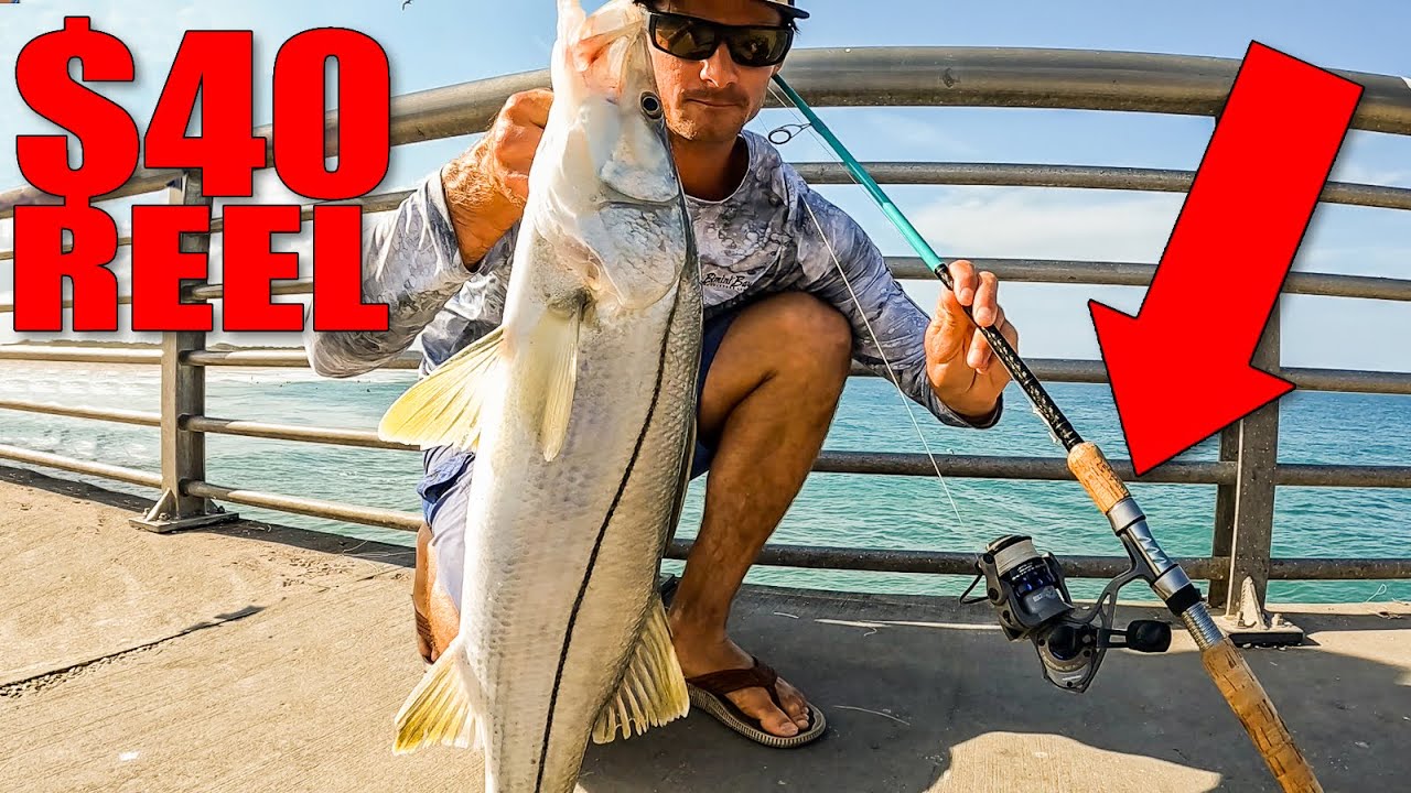 My New $40 Fishing Reel - Catching Dinner