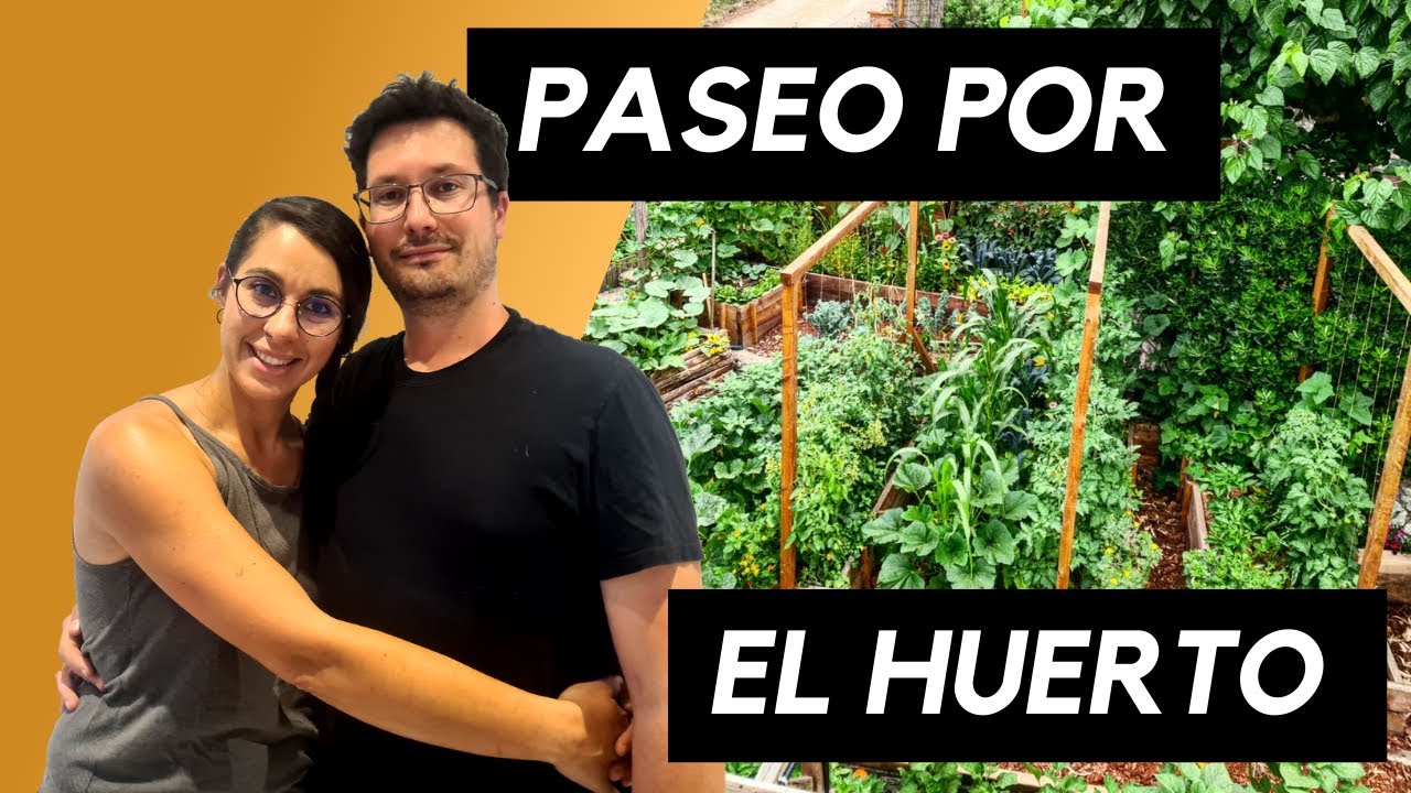 NUESTRO PROYECTO | Huerto | Permacultura | Gallinero | Bosque comestible | Frutales