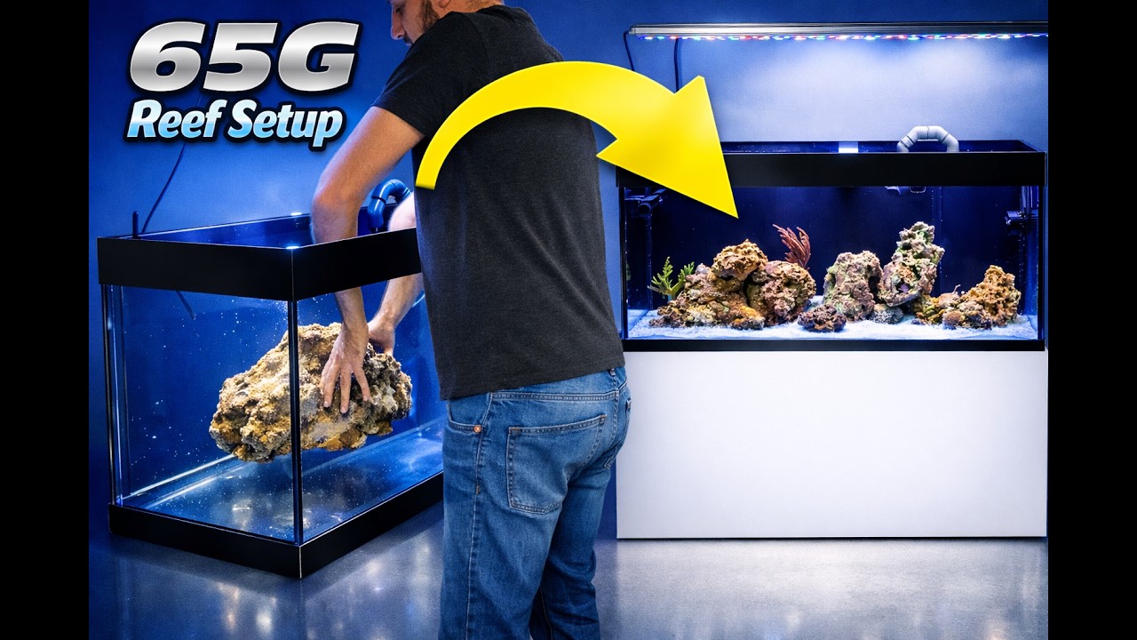 Starting a new 65 gallon (240L) reeftank!