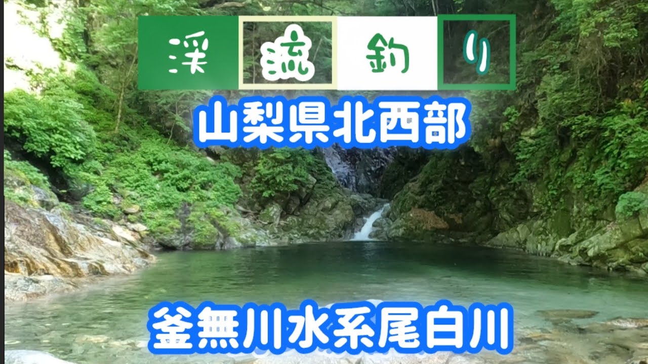 【山梨県釜無川支流尾白川】山の渓相から里川まで！異なる雰囲気を楽しめる‼️