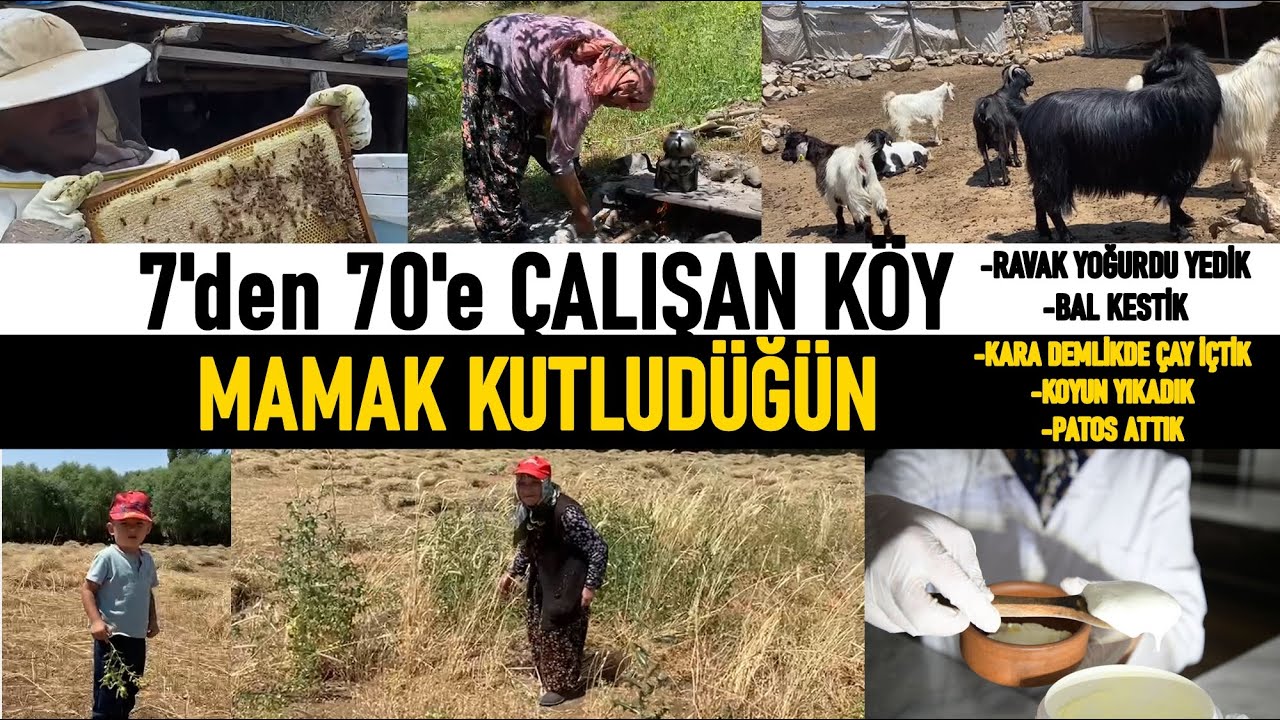 Ankara Mamak Kutludüğün köyü- Erdem Yeşer ile Köy Havası