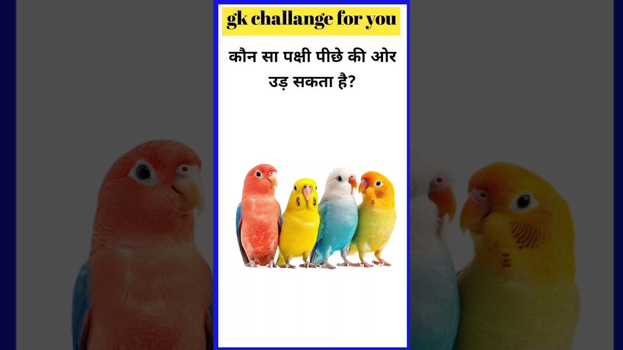 #gkinhindi #gkquiz #gk questions and answers #generalknowledge