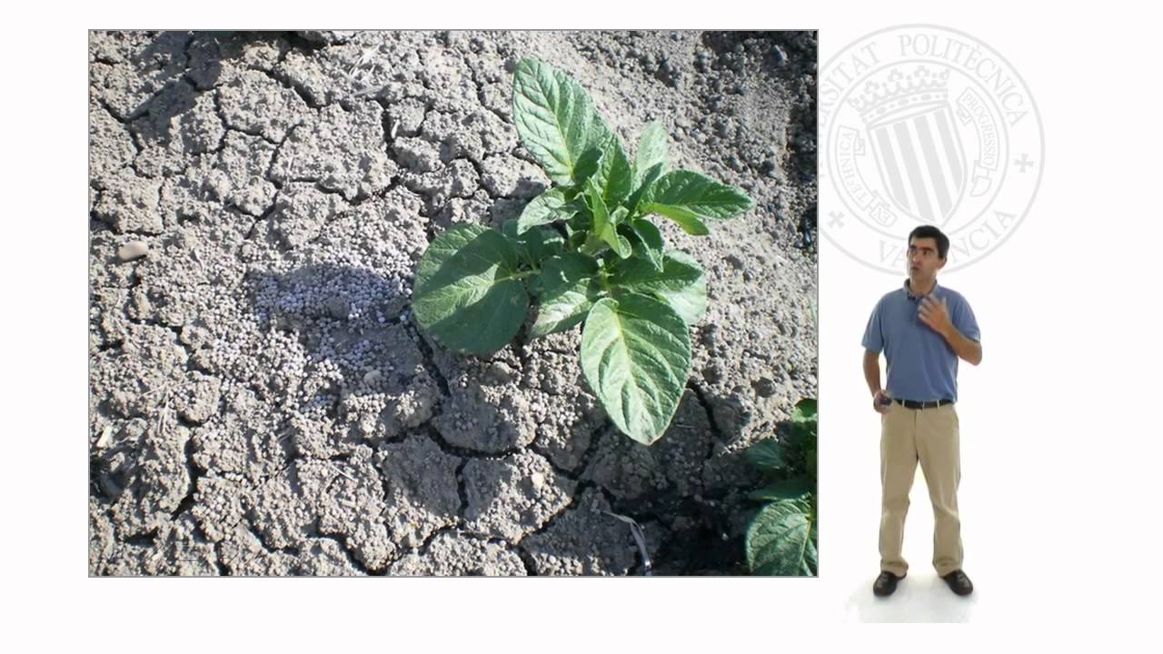 Fertilizantes minerales |  | UPV