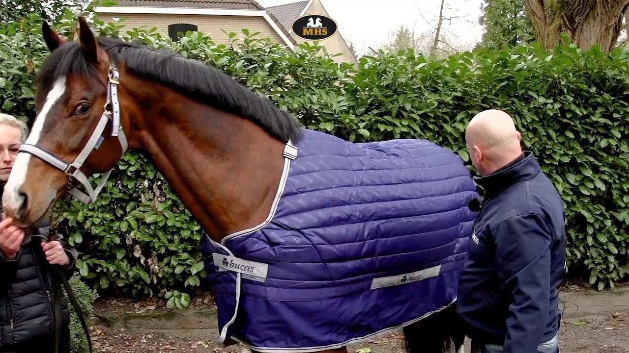 Bucas | Quilt 150 Gram Stay Dry | Stal/Onderdeken