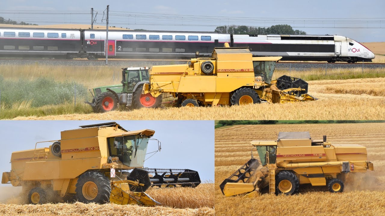 Old timer | NEW HOLLAND TX36 🤩 | Fendt Vario 920 gen1 | 😎
