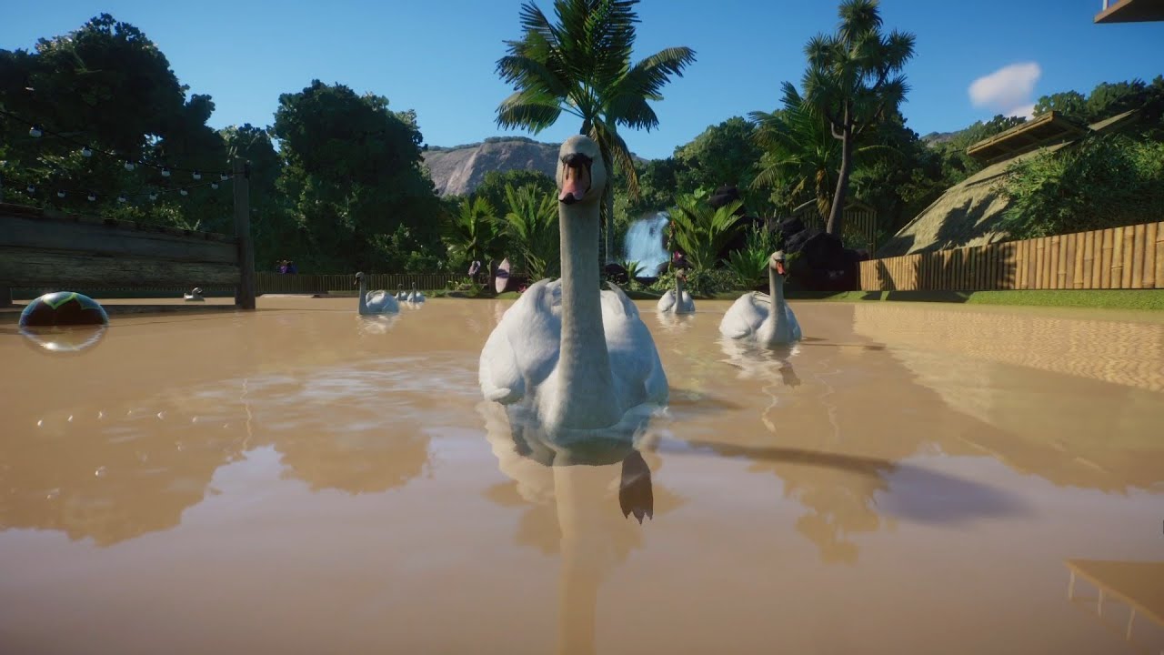 Planet Zoo (PC)(English) #163 8 Minutes of Mute Swan (Eurasia DLC)